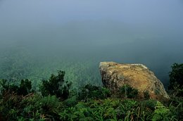 Archipel-des-Comores;-Brouillard;-Brume;-Crête;-Forêt;-Fougères;-France;-Kaleidos;-Kaleidos-images;-La-parole-à-limage;-Laurent-Abad;-Mayotte;-Océan-Indien;-Paysage;-Rocher;-Stories-Pictures